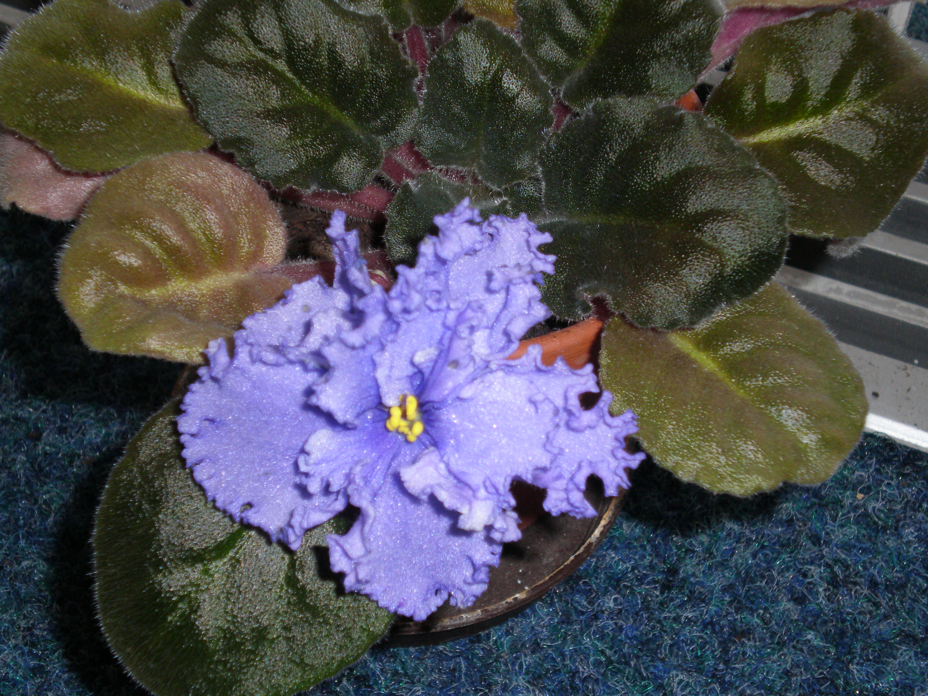 026